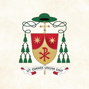 Biskupski grb mons. Vlade Razuma